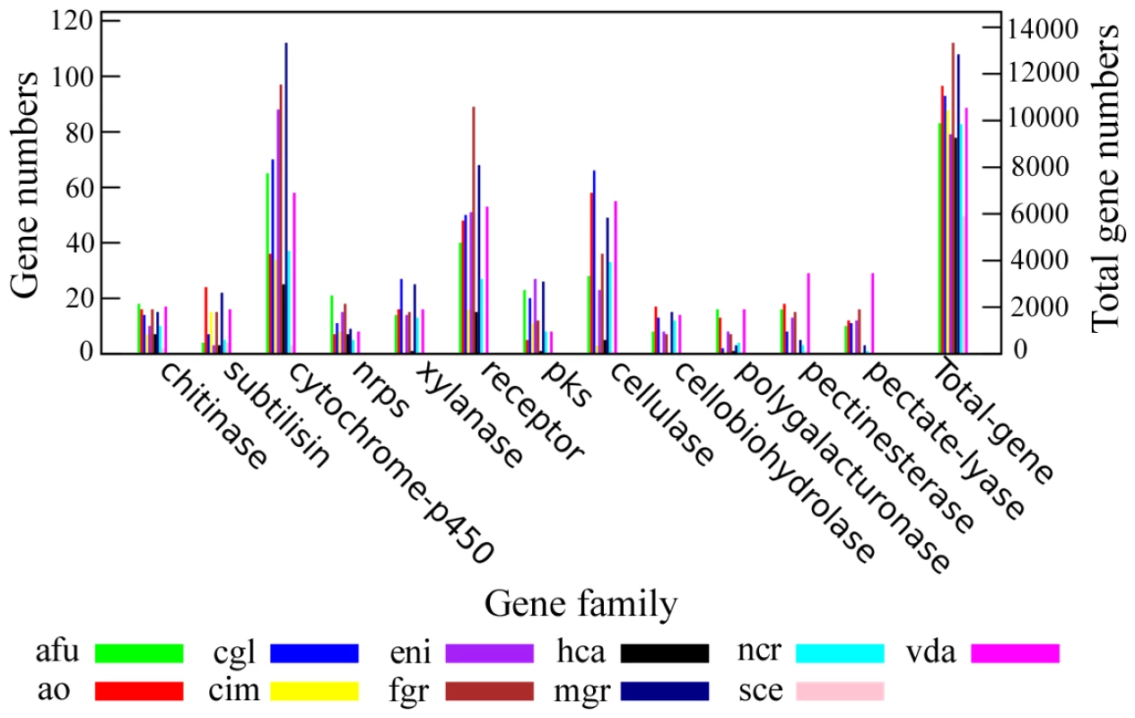 Comparison of pathogenicity-related gene families between <i>A. oligospora</i> and other sequenced fungi.