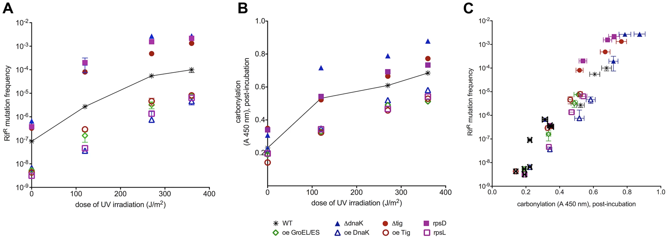 UV-induced mutation frequencies correlate with total proteome carbonylation.