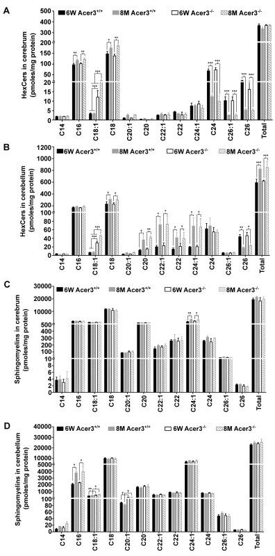 Acer3 upregulation is important for the homeostasis of complex sphingolipid in aging brain.