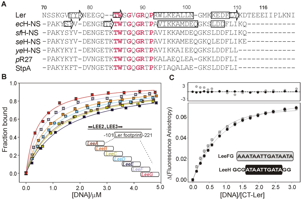 DNA-binding domain of selected members of the H-NS family of proteins and DNA fragment optimization.