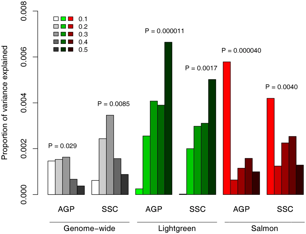 Contribution to ASD risk of common variation in the neuronal sub-networks.