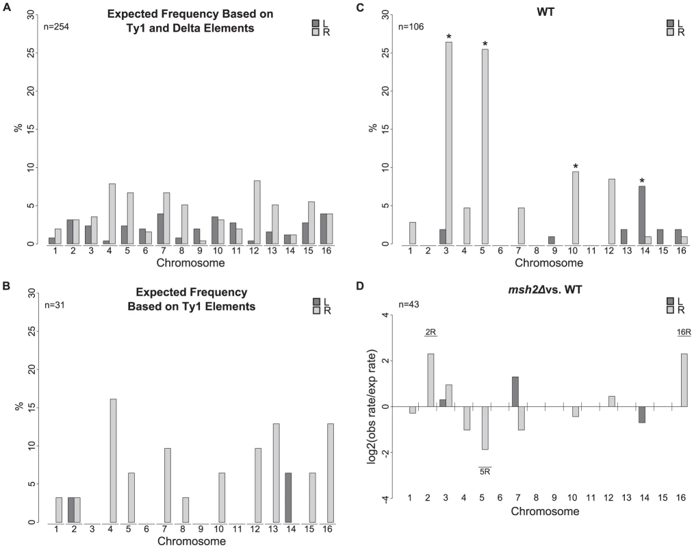 Chromosome arm duplication distributions for wild-type and <i>msh2Δ</i> strains versus the distribution of Ty1 and delta elements in the S288C reference genome.