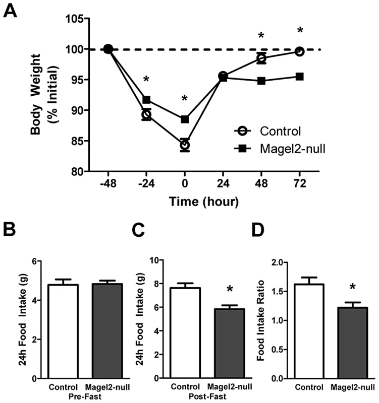 <i>Magel2</i>-null mice have abnormal weight recovery and compensatory refeeding after fasting.