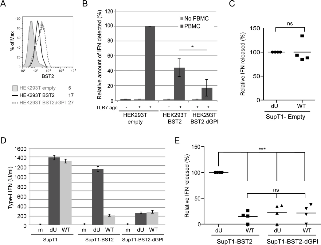 Effect of a BST2 GPI anchor mutant on Vpu-mediated control of IFN-I production by pDCs.