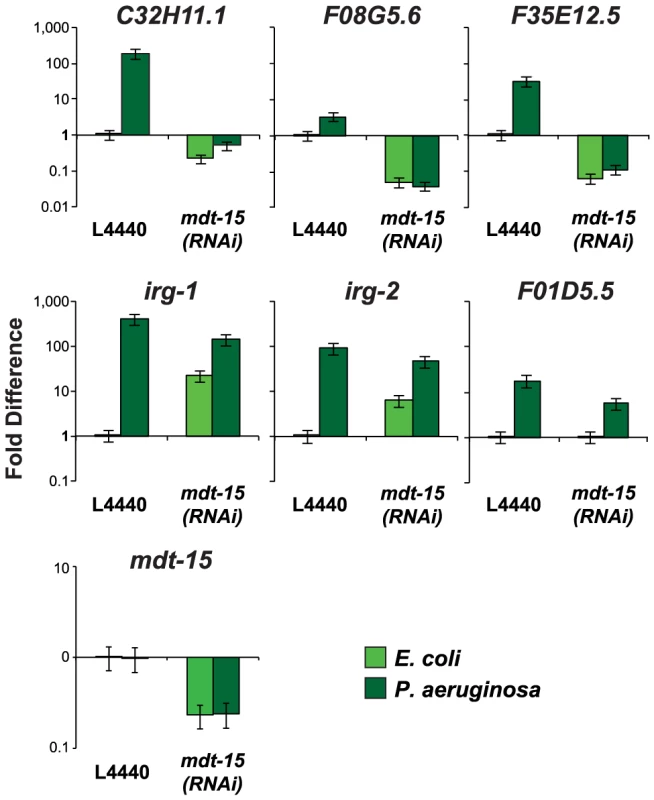The Mediator subunit MDT-15 regulates the induction of some, but not all, immune genes during <i>P. aeruginosa</i> infection.