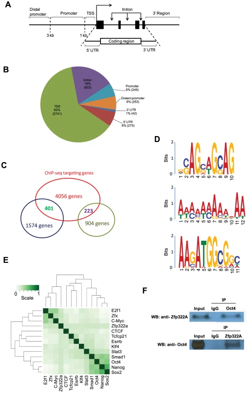 Genomic-wide analysis of Zfp322a binding sites.