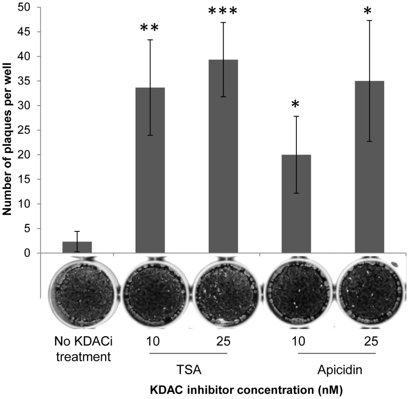 KDAC inhibitors (KDACi) restore replication of dominant-negative GCN5b parasites.