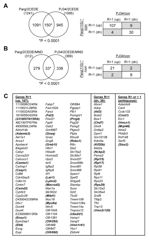 Shared differential gene expression in offspring from males of the two mouse models with perturbed PAR metabolism (<i>Parg</i>(110)<sup>−/−</sup>, PJ34 treated).