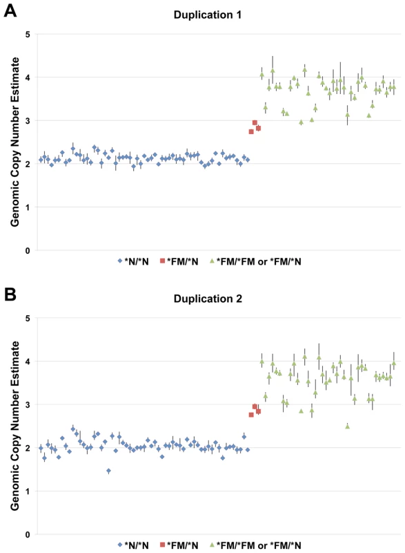 A two-fold increase in genomic copy number is associated with FM.
