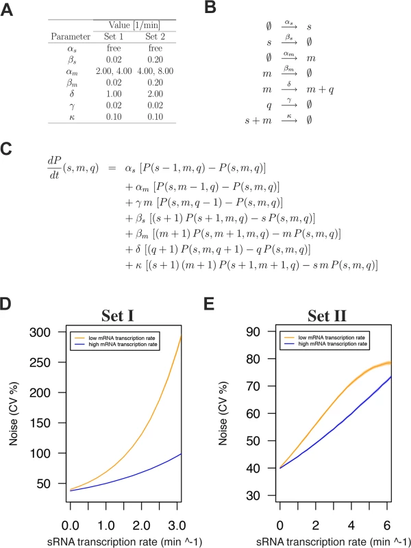 sRNA regulation increases protein expression noise in a stochastic simulation model.