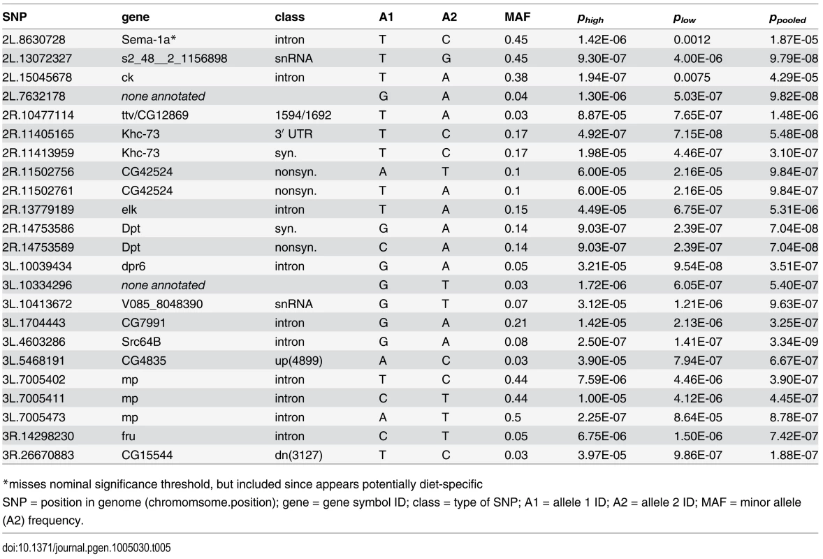 Significant SNPs (P&lt;10<sup>-6</sup>) from genome-wide association study for immune defense against <i>Providencia rettgeri</i> infection with data from the high glucose diet (<i>p</i><sub><i>high</i></sub>), low glucose diet (<i>p</i><sub><i>los</i></sub>) and when data from both diets are combined (<i>p</i><sub><i>pooled</i></sub>).