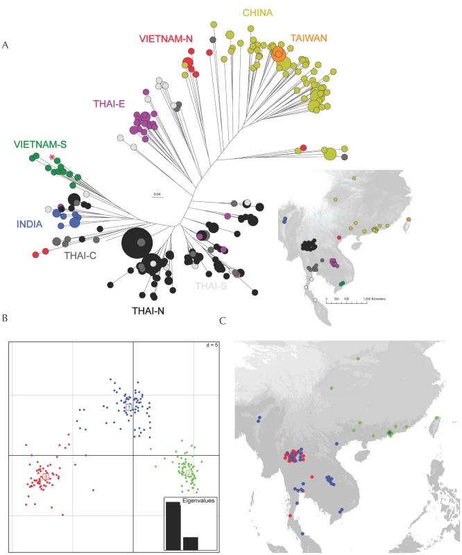 Correspondence between genetic diversity and spatial location.