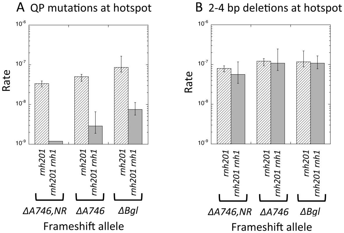Rates of QP mutations and tandem-repeat deletions at hotspots in RNaseH1-defective strains.