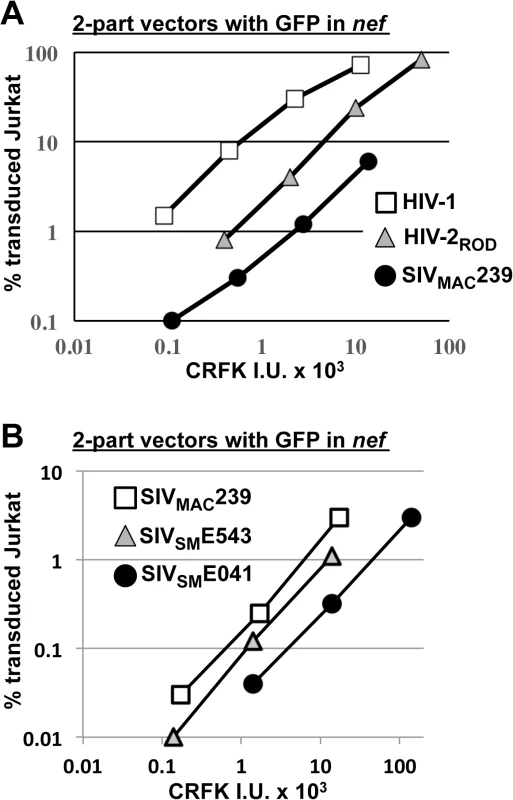 SIV<sub>MAC</sub>, HIV-2, and SIV<sub>SM</sub> transduction of human T cells is less efficient than transduction by HIV-1.