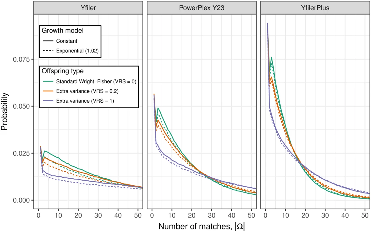 The distribution of |Ω|, the number of live males with Y profile matching that of Q.