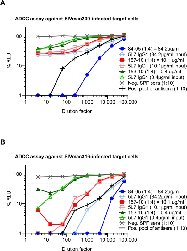 ADCC activity of purified proteins and sera against SIV-infected target cells <i>in vitro</i>.