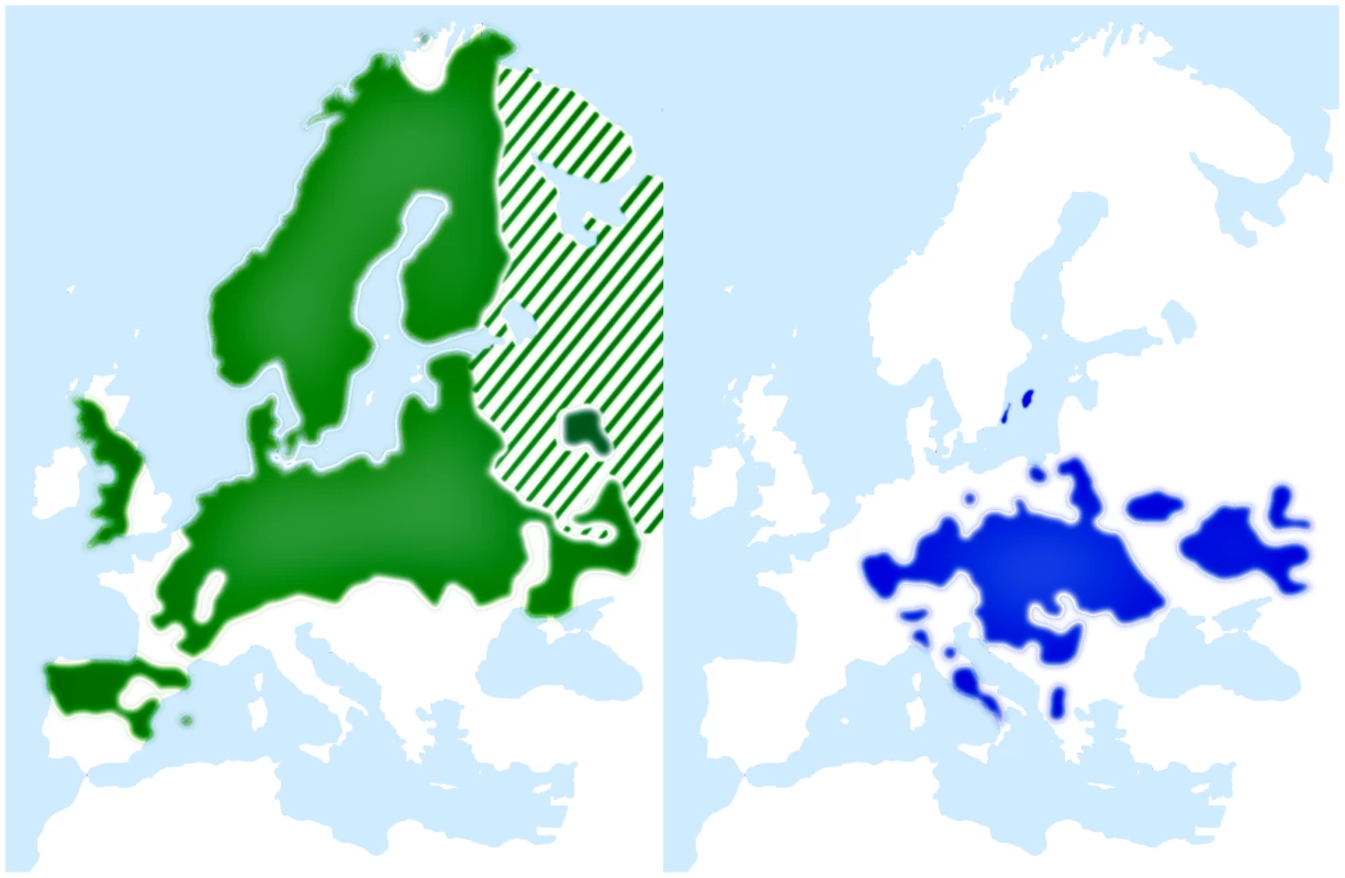 Breeding range distributions of pied flycatcher (green) and collared flycatcher (blue).
