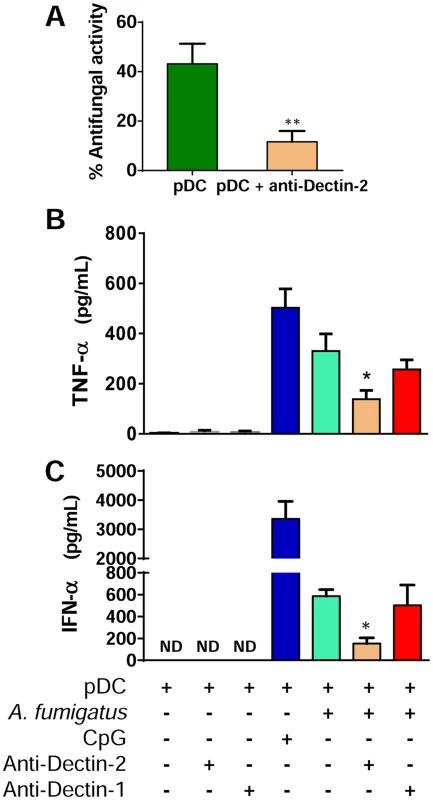 Dectin-2 is involved in antifungal activity and cytokine release by pDCs stimulated with <i>A. fumigatus</i> hyphae.