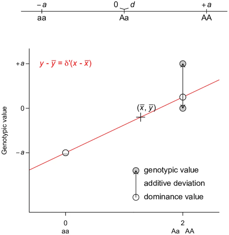 Least squares regression interpretation of VD′.