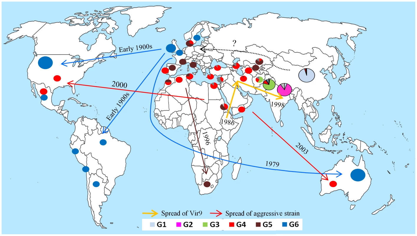 Origin and migration routes of recently emerged populations of wheat yellow rust pathogen identified or confirmed through population genetic analyses of a worldwide representative set of isolates.