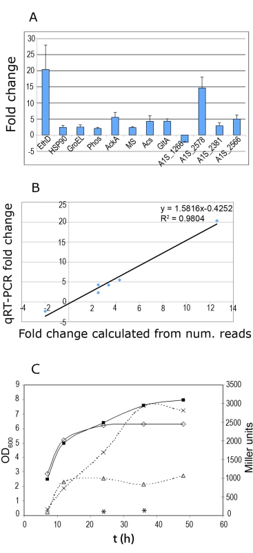 Fold change of selected genes determined by qRT-PCR.