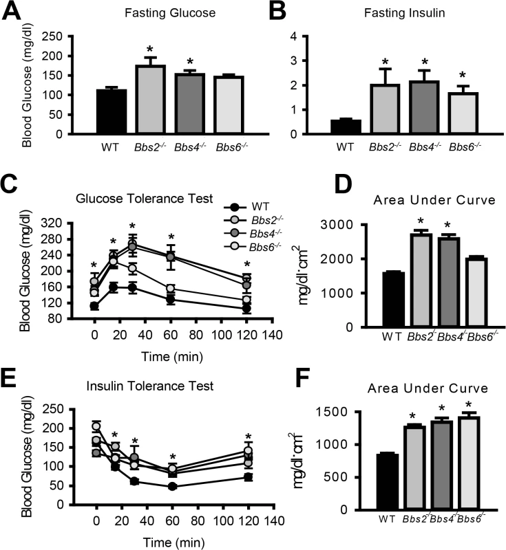 Insulin resistance and altered glucose metabolism in mice lacking functional BBS proteins.
