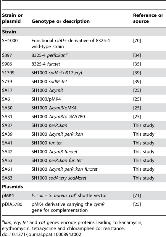 Strains and plasmids used in this study.