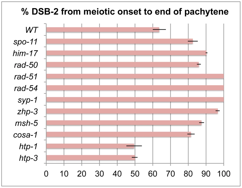 Quantitation of the DSB-2 positive zone in WT and meiotic mutants.