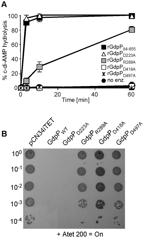 Disruption of GdpP phosphodiesterase activity compensates for a lack of LTA.