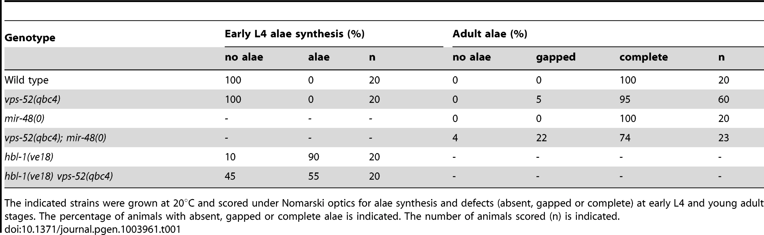 Alae defects for the <i>vps-52</i>, <i>hbl-1</i> and <i>mir-48</i> mutant animals.