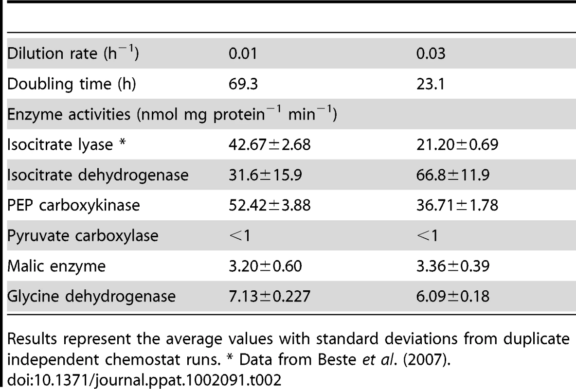 <i>In vitro</i> enzyme activities in crude cell extracts of glycerol limited chemostat cultures of <i>Mycobacterium bovis</i> BCG.