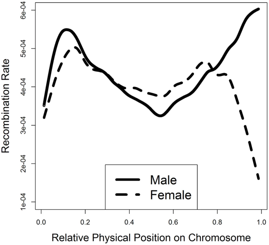 Smooth spline plotting of male and female recombination rates along a chromosome.