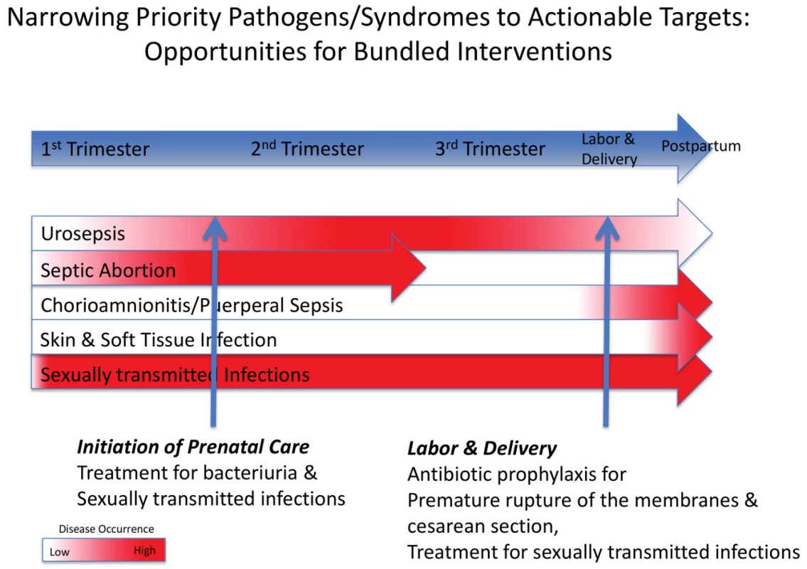 Timing of four clinical syndromes and their pathogens, and potential opportunities for “bundled” diagnostic–therapeutic interventions.