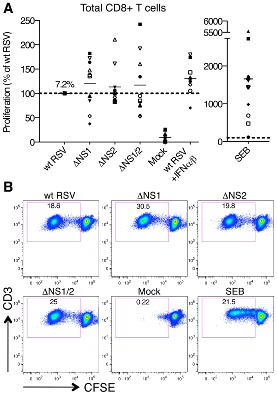 Proliferation of CD8+ T cells during co-cultivation with autologous DC that had been pre-infected with wt RSV or its NS1/2 deletion mutants.