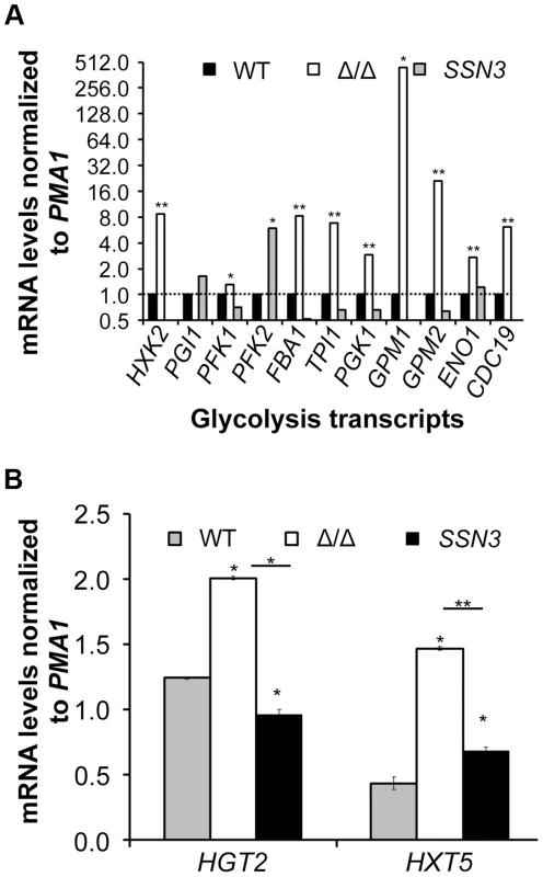 Loss of <i>SSN3</i> results in increased expression of glycolysis genes and glucose transporters.