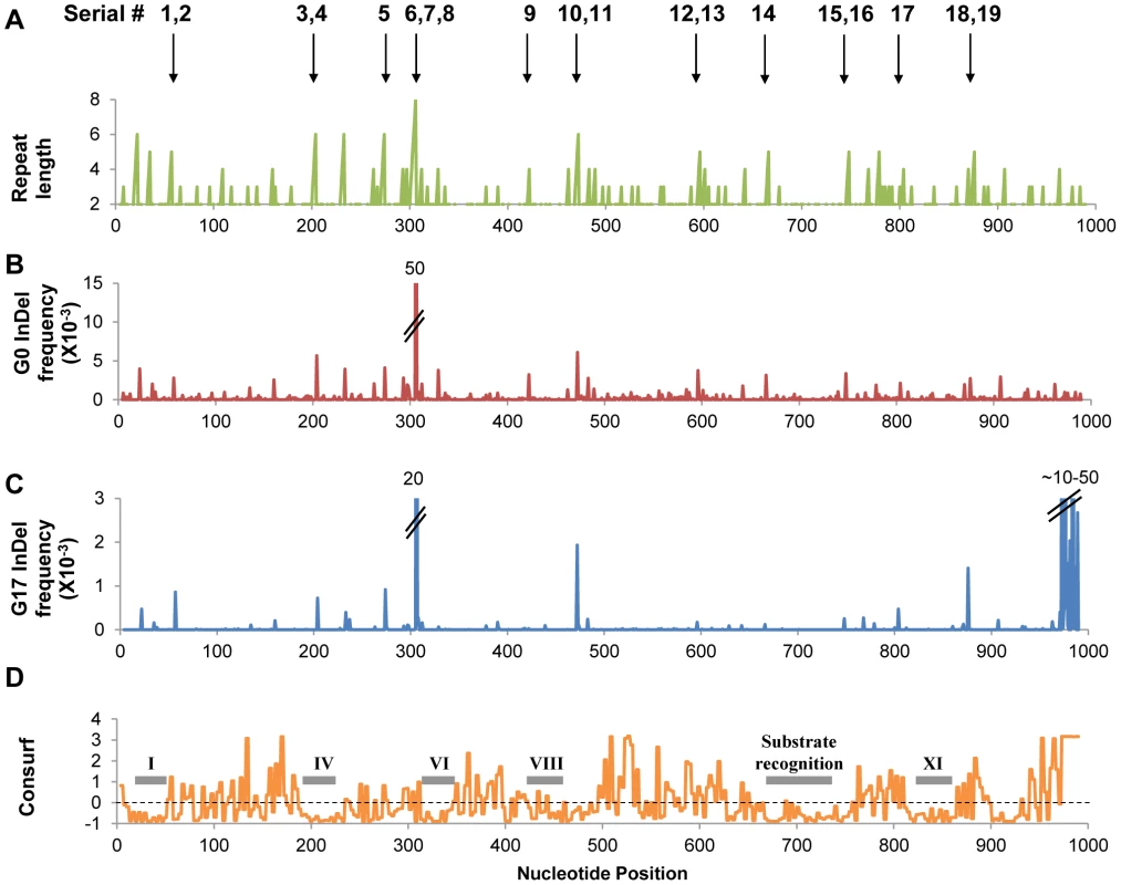 InDels frequencies in the selected (G17) and unselected (G0) repertoires.