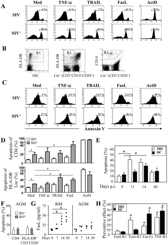 Increased apoptosis of monocytes and DCs during primary SIV infection.