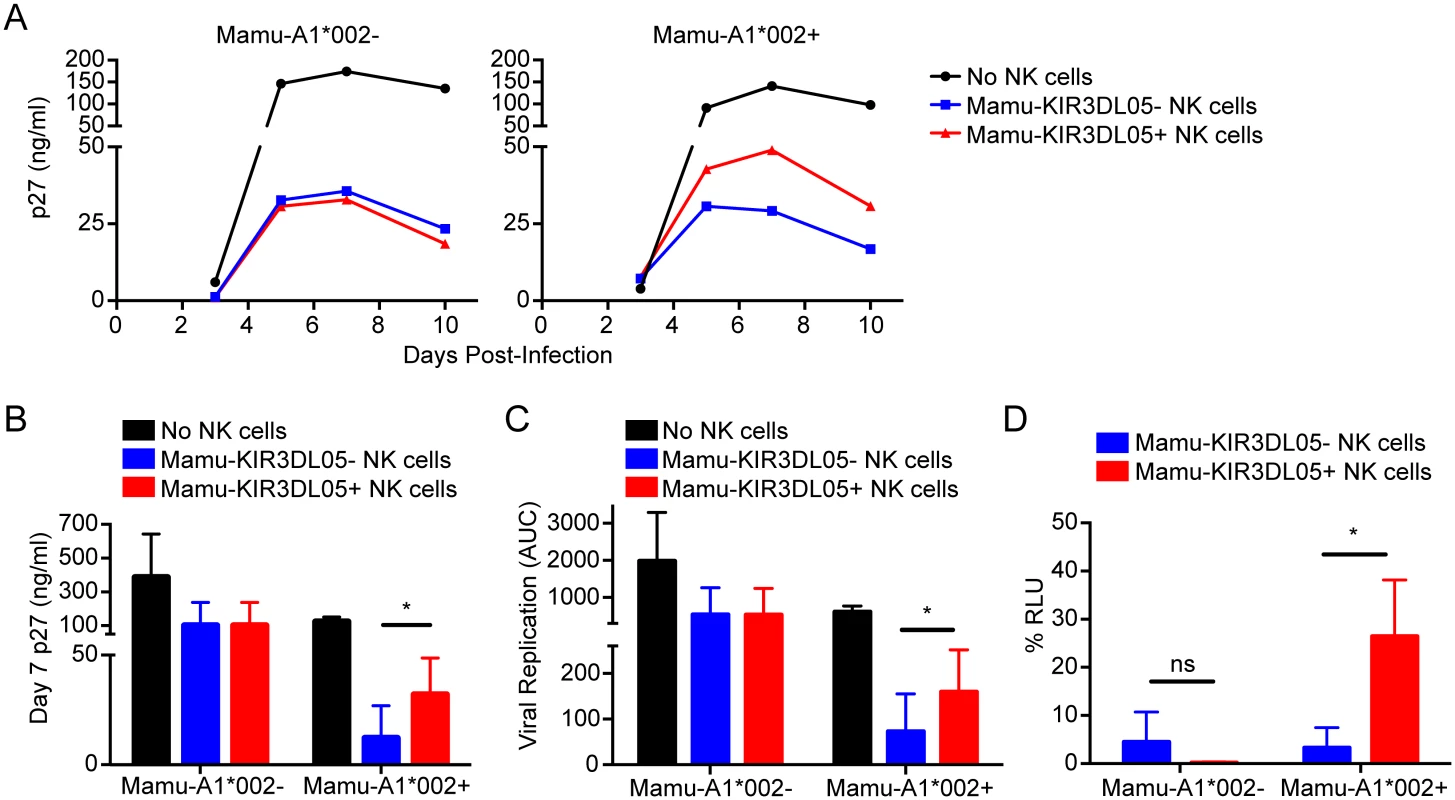 Mamu-KIR3DL05<sup>+</sup> NK cells exhibit a reduced capacity to suppress SIV replication in cells expressing Mamu-A1*002.