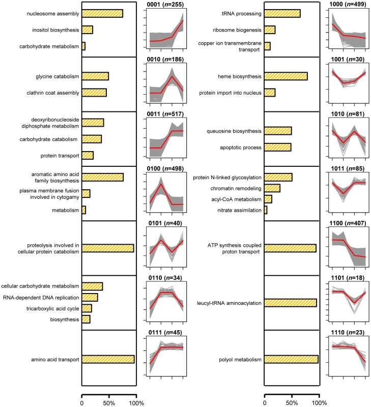 Proportions of genes with the GO term-defined functions and gene expression profiles of 14 signature expression patterns.
