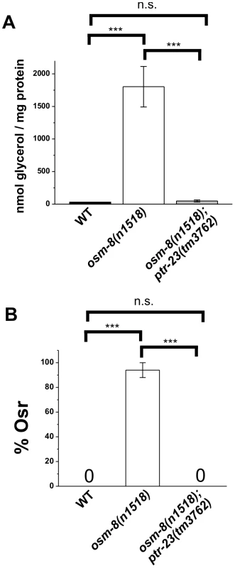 <i>ptr-23</i> is required for <i>osm-8</i>–induced glycerol accumulation and Osr phenotypes.