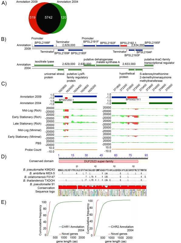 Experimental Re-annotation of the Bp Genome.