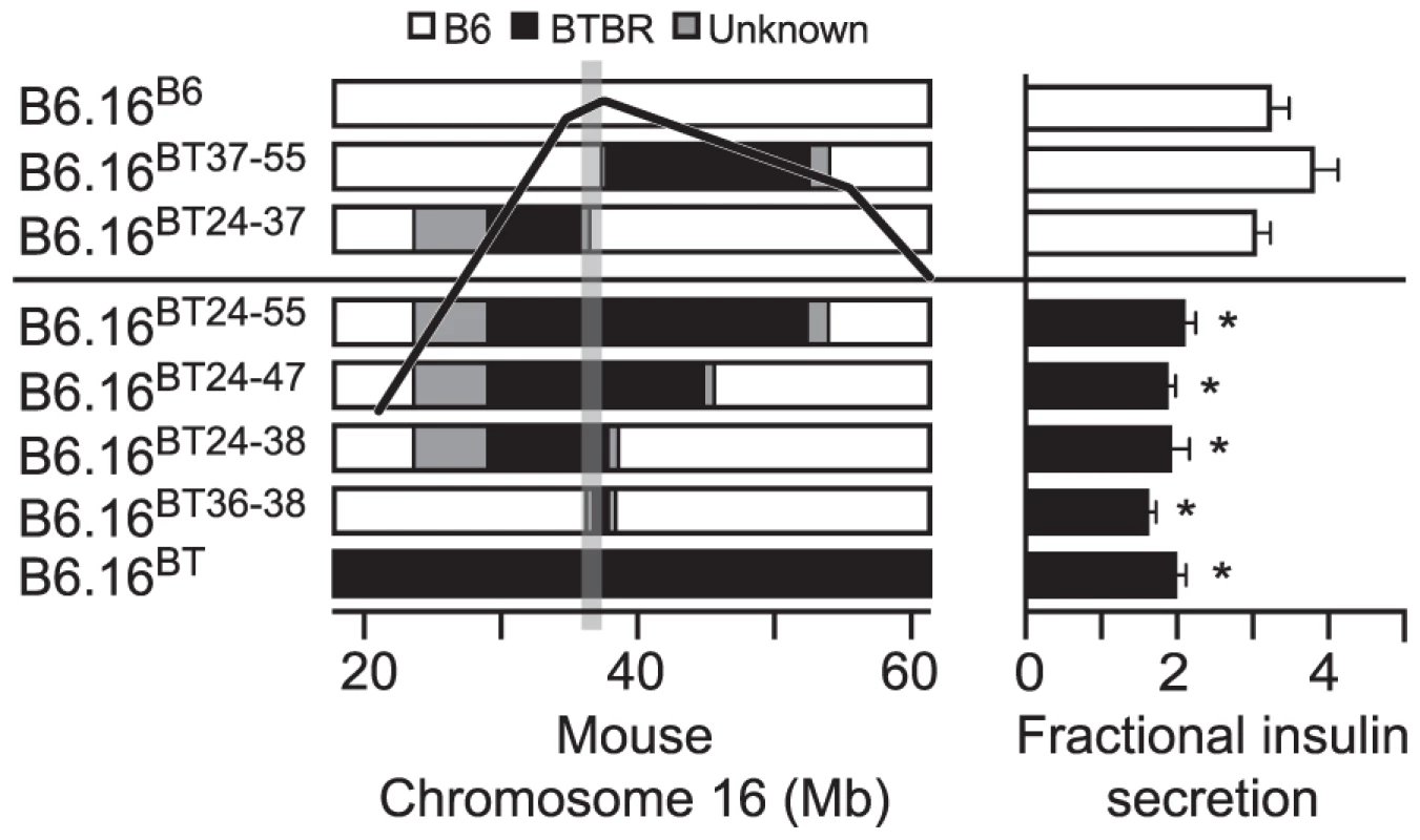 Effect on insulin secretion of introgressing 1.6 Mb of BTBR Chr 16 into B6 mice.