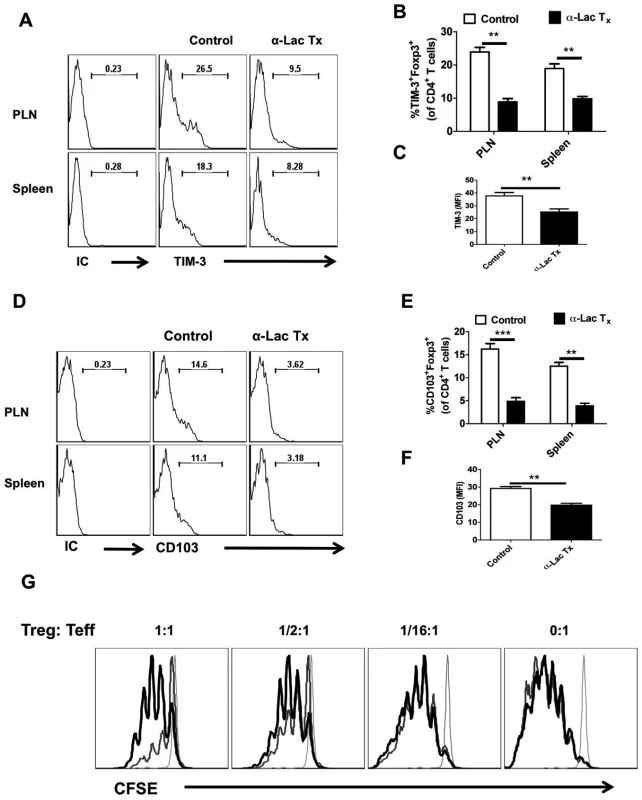 Administration of α-lactose diminishes regulatory T cells responses.