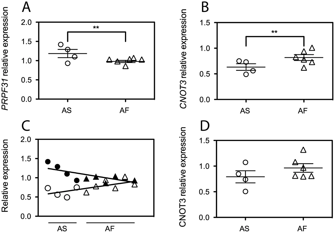 <i>CNOT3</i> shows an opposite trend of expression with respect to that of <i>PRPF31</i> between the asymptomatic (AS) and affected (AF) individuals of the AD5 family.