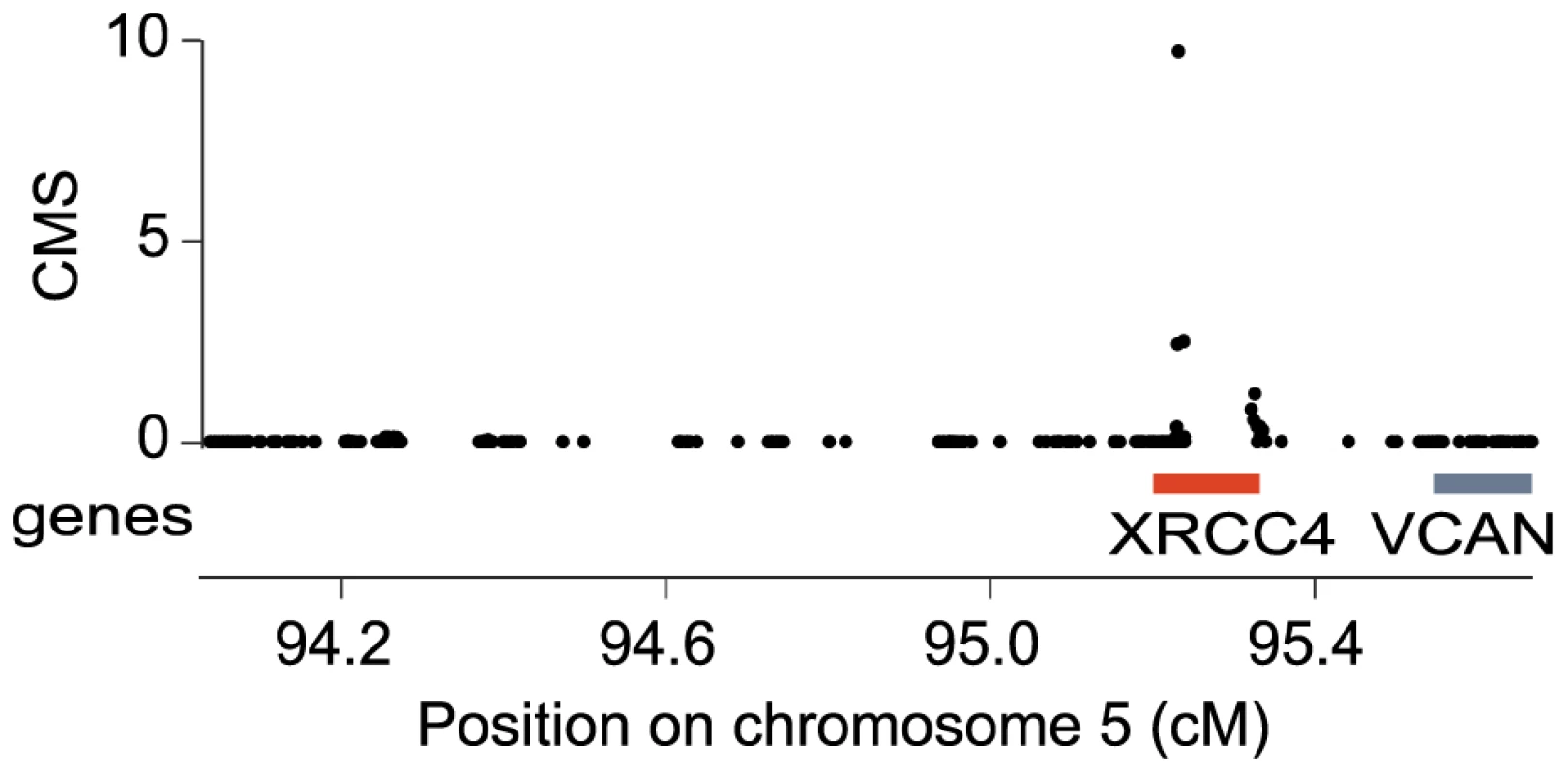 <i>XRCC4</i> is under positive selection in modern humans.