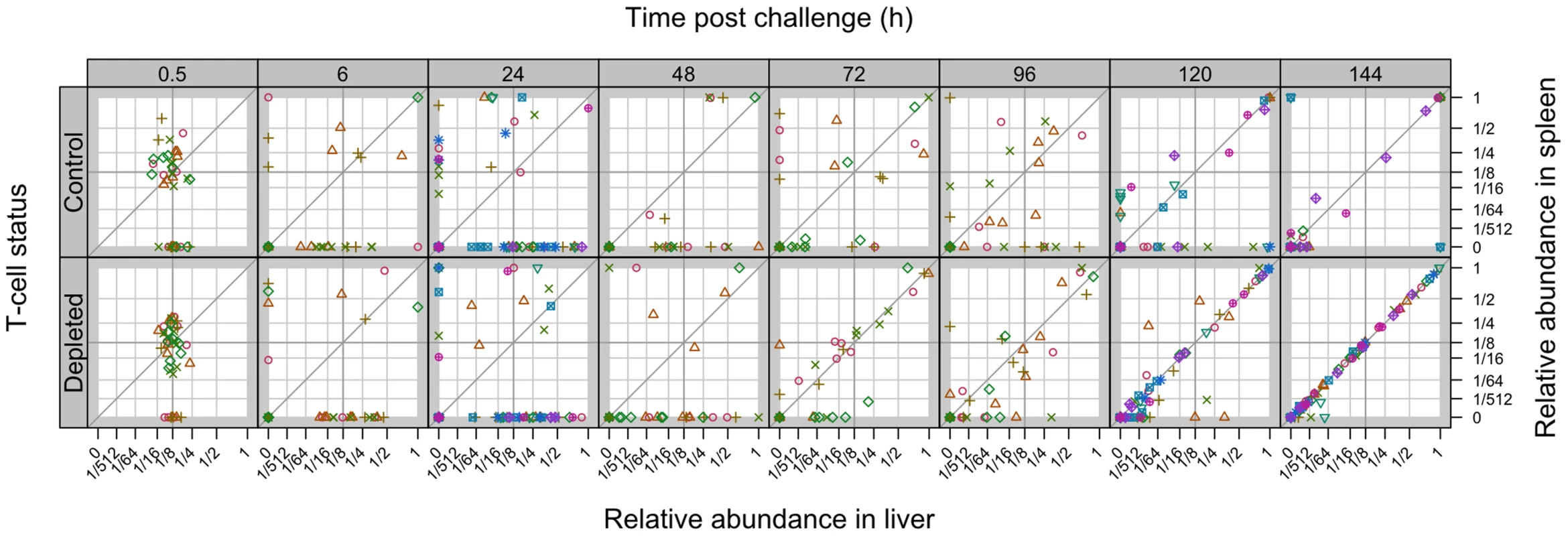 Relative abundance of individual WITS in the spleens and livers.