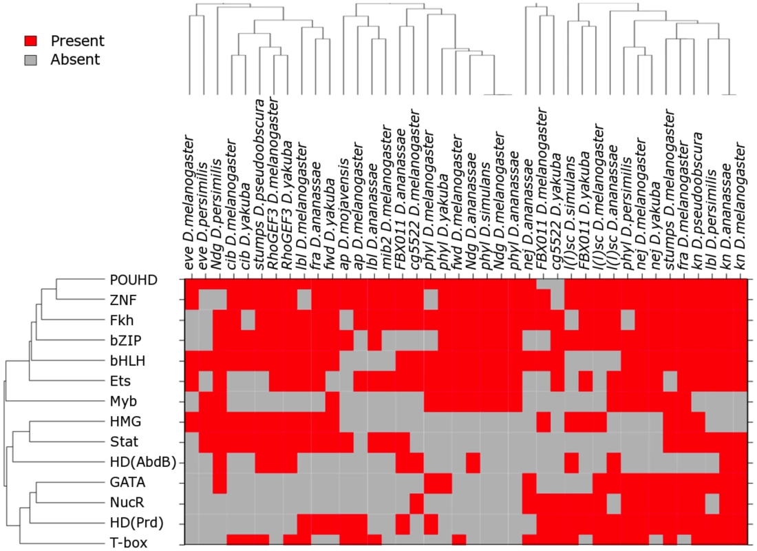 DNA binding domains of the TFs most relevant to FC enhancer classification.