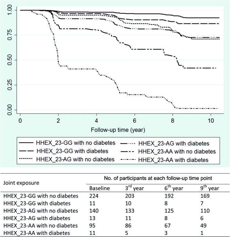 Kaplan–Meier survival estimates from baseline to dementia occurrence by diabetes (including prediabetes) and &lt;i&gt;HHEX_23&lt;/i&gt; genotype (adjusted for age, sex, and education).