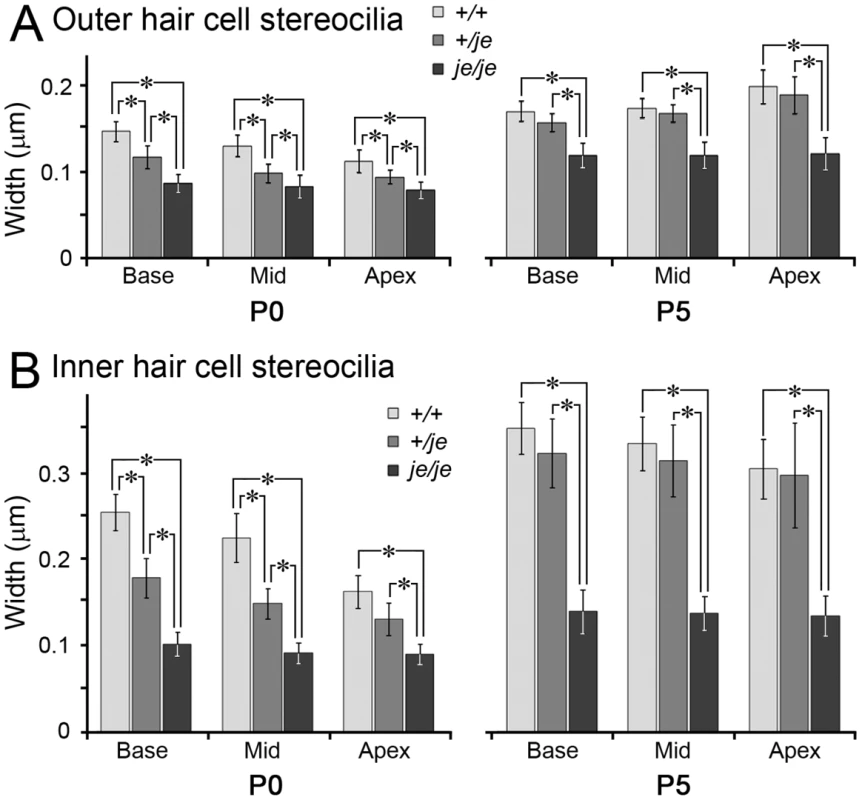Stereociliary width measurements for cochlear hair cells in early postnatal <i>+/+</i>, <i>+/je</i>, and <i>je/je</i> mice.