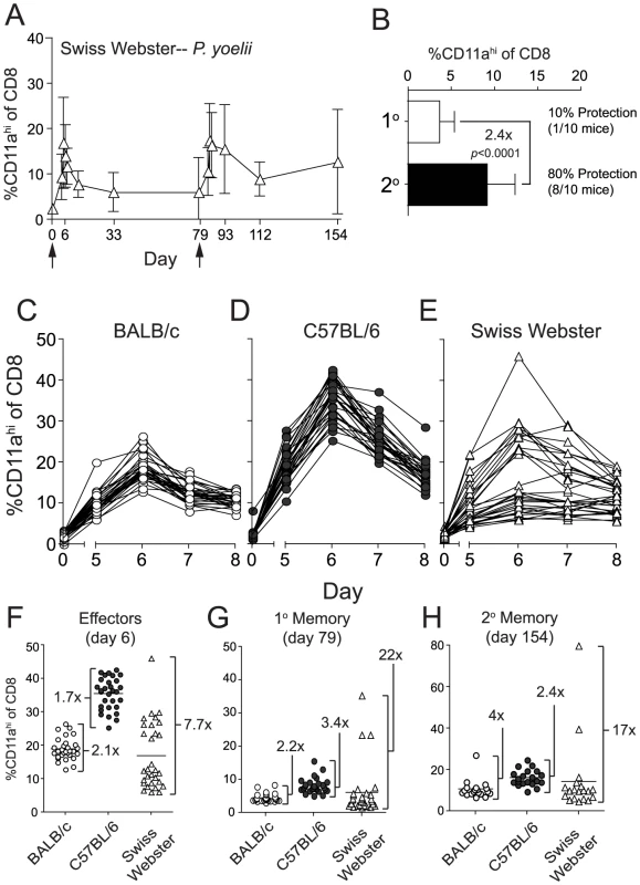 <i>Py</i>-RAS-specific CD8 T cell responses and protective immunity are markedly enhanced following prime-boost vaccination of an outbred mouse population.